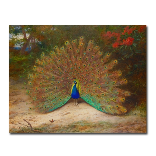 Artistic Home Gallery 1216AM922SAG Peacock & Peacock Butterfly by Arch
