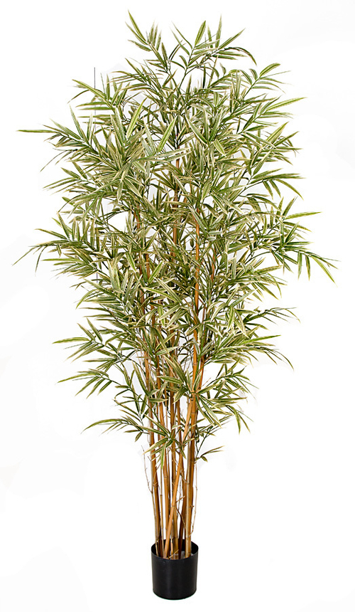 Autograph Foliages PR-160745 5 ft. Fire Retardant Royal Bamboo Tree&#4