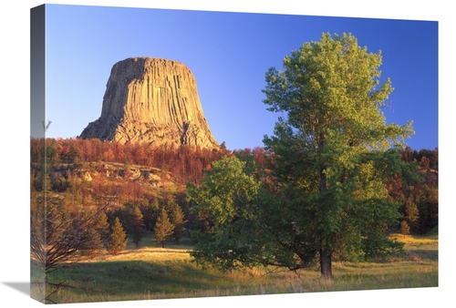 Global Gallery GCS-397162-1824-142 18 x 24 in. Devils Tower National M