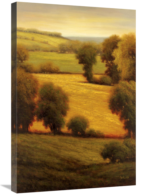 Global Gallery GCS-130148-2030-142 20 x 30 in. Ambre Valley Art Print 