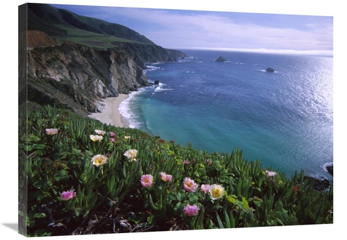 Global Gallery GCS-396774-2432-142 24 x 32 in. Ice Plant or Hottentot 