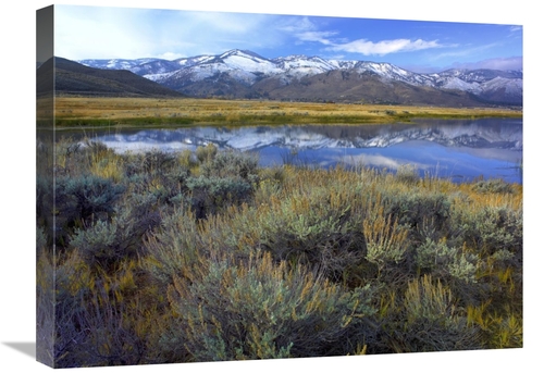 Global Gallery GCS-452090-1824-142 18 x 24 in. The Carson Range Reflec