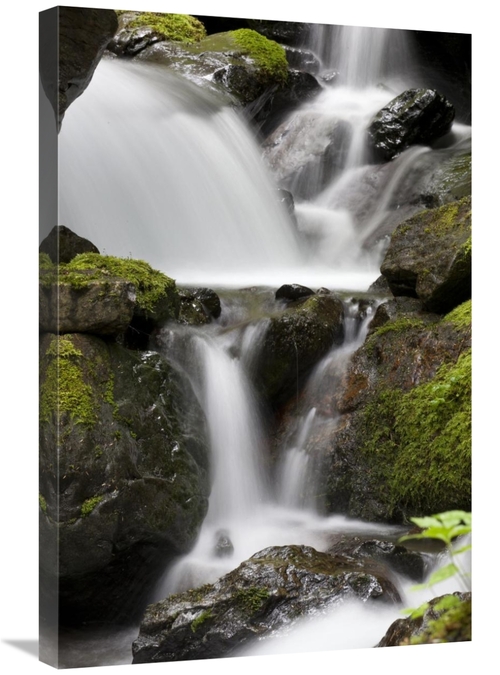 Global Gallery GCS-395440-2030-142 20 x 30 in. Cascading Creek in Temp