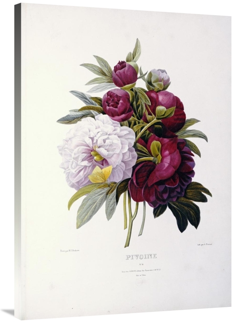 Global Gallery GCS-267093-40-142 40 in. Peonies Art Print - Pierre Jos