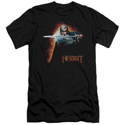 Trevco The Hobbit-Secret Fire Short Sleeve Adult 30-1 Tee- Black - Med