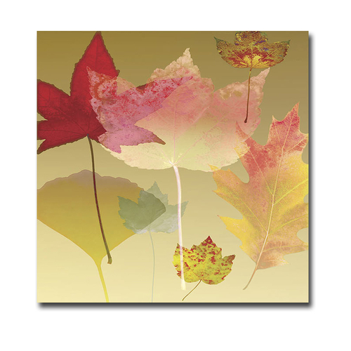 Artistic Home Gallery 3030A709EG Leaf Counterpoint by Robert Mertens P