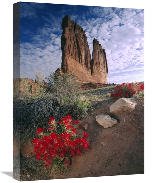 Global Gallery GCS-396478-1824-142 18 x 24 in. Paintbrush & the Organ 