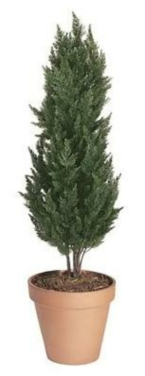 Autograph Foliages A-122 - 56 Inch Polyblend Cypress - Green