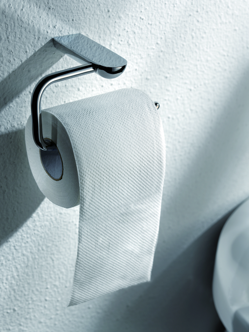 Dawn Kitchen & Bath 95010501C Toilet Tissue Holder - Chrome