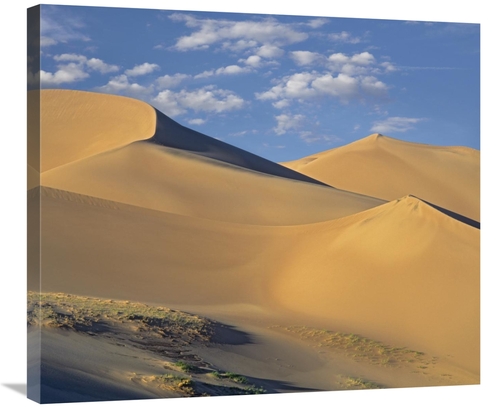 Global Gallery GCS-396464-30-142 30 in. Sand Dunes, Great Sand Dun