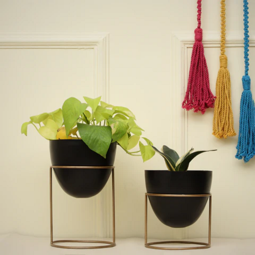 Ovate Black Planters (Pack of 2)