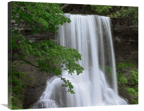 Global Gallery GCS-396492-30-142 30 in. Cascading Waterfall in Jeffers