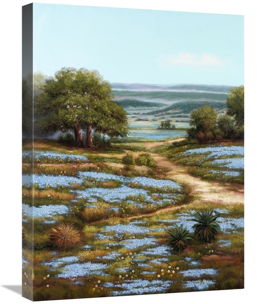 Global Gallery GCS-339644-1824-142 18 x 24 in. Valley of the Bluebells