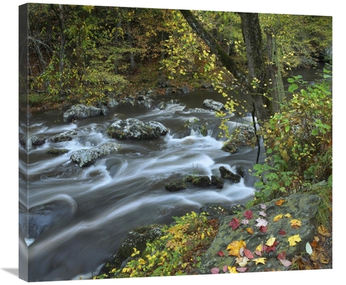 Global Gallery GCS-396550-30-142 30 in. Little River, Great Smoky 