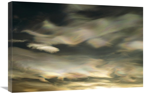 Global Gallery GCS-398192-2030-142 20 x 30 in. Nacreous Mother of Pear