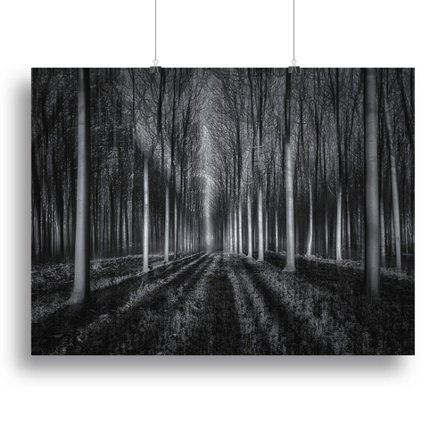 Into The Forest Canvas Print or Poster