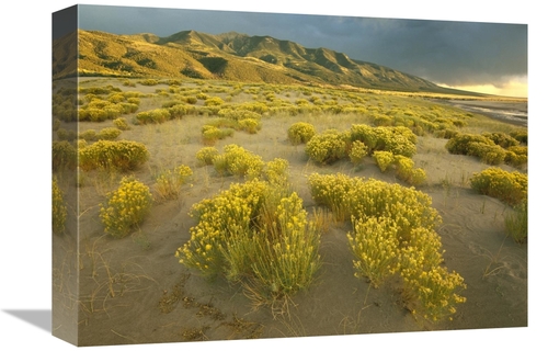 Global Gallery GCS-396886-1216-142 12 x 16 in. Sangre De Cristo Mounta