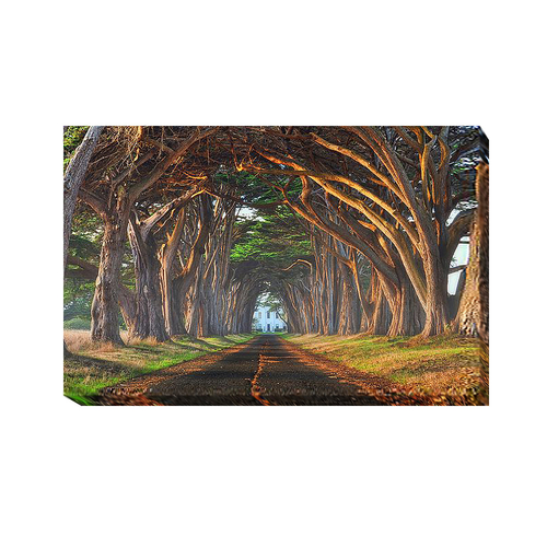 Artistic Home Gallery 2436E954IG Tunnel of Light by Lee Sie Premium Ga