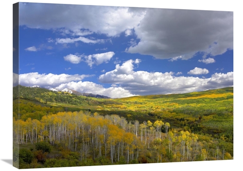 Global Gallery GCS-396154-2432-142 24 x 32 in. Gunnison National Fores