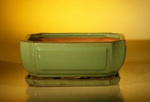 Green Ceramic Bonsai Pot - Rectangle Professional Series With Attached