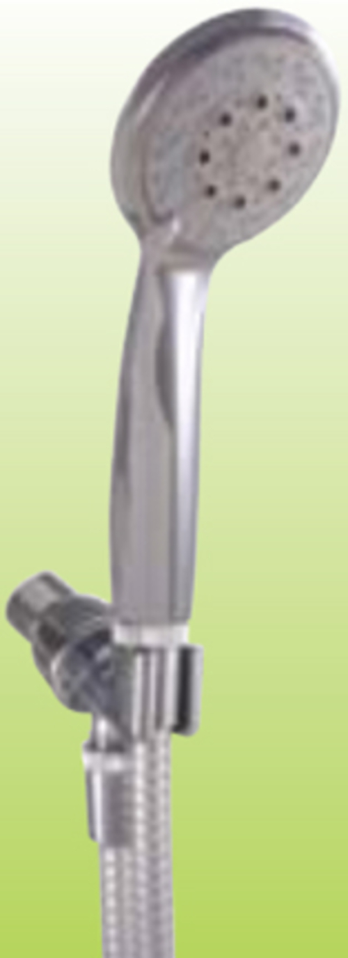 LDR Global Industries 520 3150WT-WS Hand Held Shower Head with Hose Br