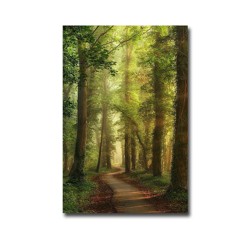 Artistic Home Gallery 2436R788IG Snake Path by Lars Van De Goor Custom