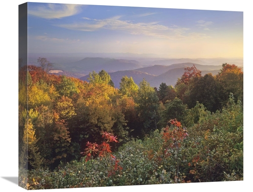 Global Gallery GCS-397040-22-142 22 in. Deciduous Forest in Autumn&#44