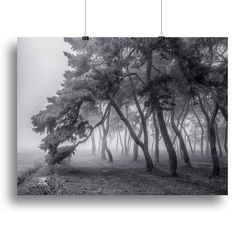 Always Canvas Print or Poster