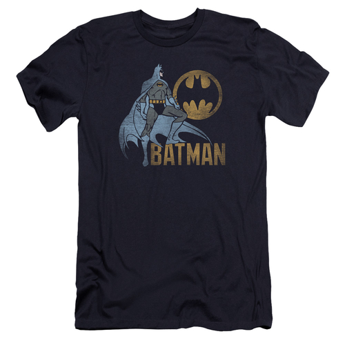 Trevco BM2363-PSF-3 Batman & Knight Watch Adult Cotton Premium Canvas 