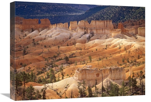 Global Gallery GCS-397080-1824-142 18 x 24 in. Landscape of Eroded For