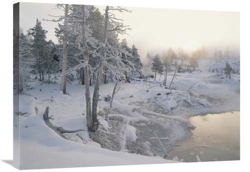 Global Gallery GCS-396648-2432-142 24 x 32 in. Upper Geyser Basin in W