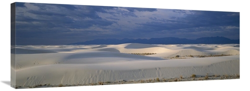 Global Gallery GCS-452623-40-142 40 in. Soaptree Yucca in Gypsum Dunes