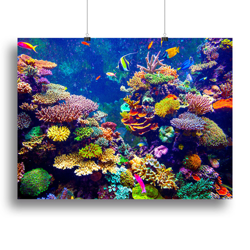 Coral Reef and Tropical Fish Canvas Print or Poster