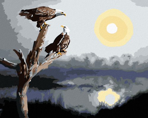 Zuty - Paint by Numbers - TWO EAGLES ON A BRANCH (D. RUSTY RUST),