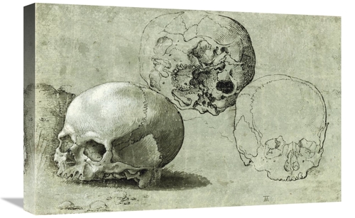 Global Gallery GCS-454967-1624-142 16 x 24 in. Study of Three Skulls A