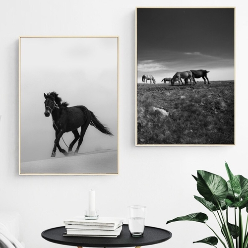 Black White Steppe Horse Landscape Wall Art Canvas