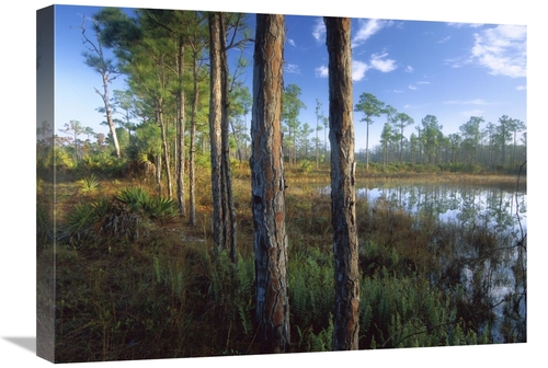 Global Gallery GCS-396810-1824-142 18 x 24 in. Pond Near the Loxahatch