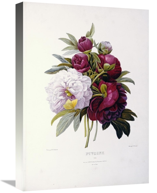 Global Gallery GCS-267093-22-142 22 in. Peonies Art Print - Pierre Jos