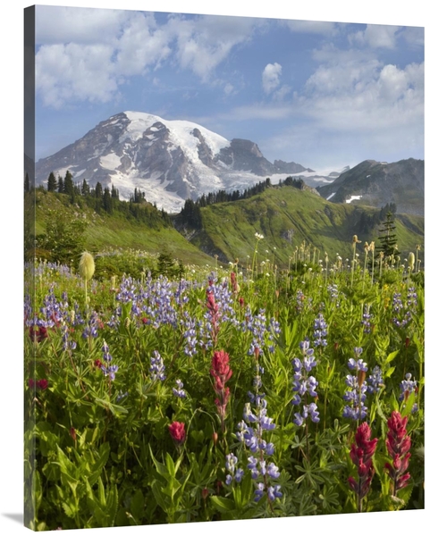 Global Gallery GCS-396889-3040-142 30 x 40 in. Paradise Meadow & Mount