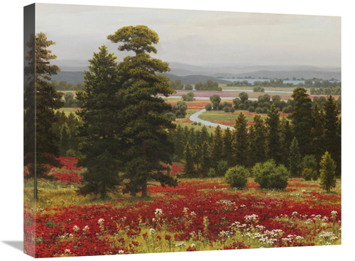 Global Gallery GCS-132470-2024-142 20 x 24 in. Blooms Above the Valley