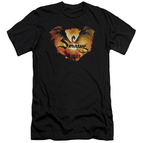 Trevco Hobbit-Reign In Flame Short Sleeve Adult 30-1 Tee- Black - Smal