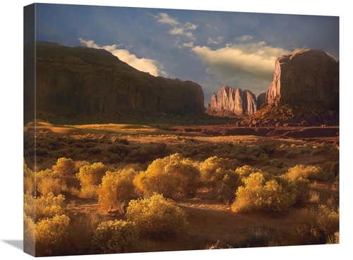 Global Gallery GCS-396490-2024-142 20 x 24 in. Camel Butte Rising Out 