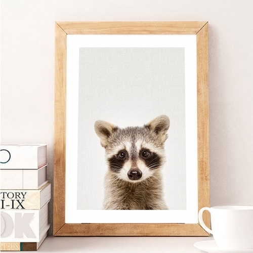 Nursery Animal Raccoon Canvas Prints Wall Art