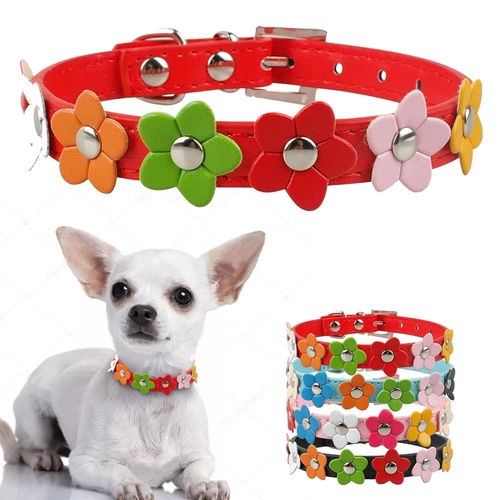 Cute Flower Small Dog Collar Sun Flower Studded
