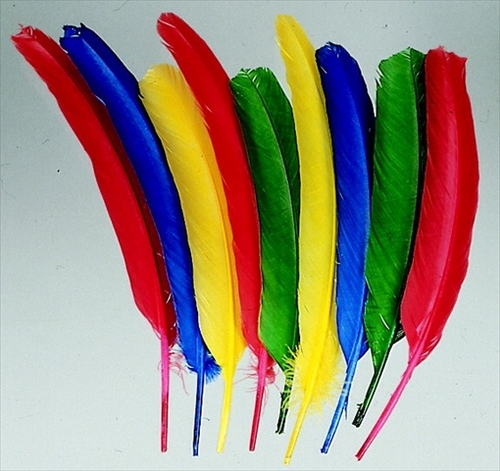 School Smart 086301 10-12 In. Non-Toxic Long Colored Quill- Pack 100