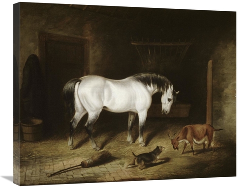 Global Gallery GCS-277961-30-142 30 in. White Horse Art Print - John F