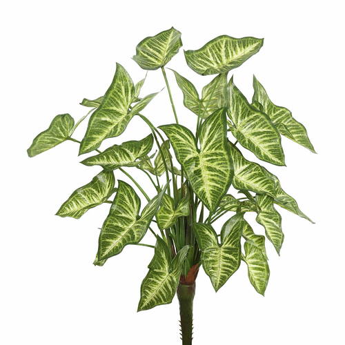 Vickerman FB171901 22 in. Syngonium Bush Featuring with 25 Leaves,