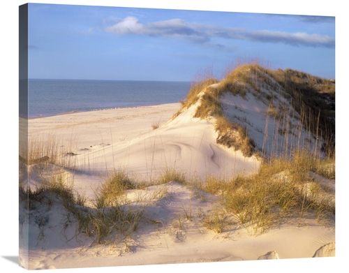 Global Gallery GCS-396340-30-142 30 in. Coastal Sand Dunes, Saint 