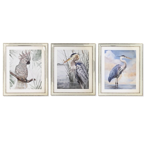 Painting DKD Home Decor 40 x 1,6 x 60 cm Birds Mediterranean (3