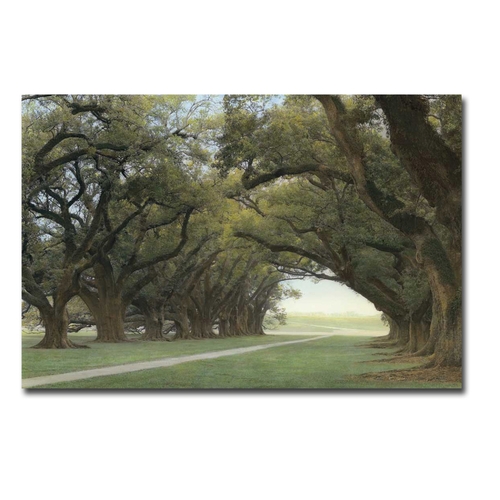 Artistic Home Gallery 2436U798CG Alley of The Oaks by William Guion Pr